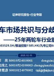 25年两轮车行业前瞻专题：两轮车市场共识与分歧展望