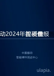 2024年智能硬件质量报