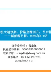 新能源月报：2025年1-2月：24年国内装机大超预期，价格企稳回升，节后排产逐步提升