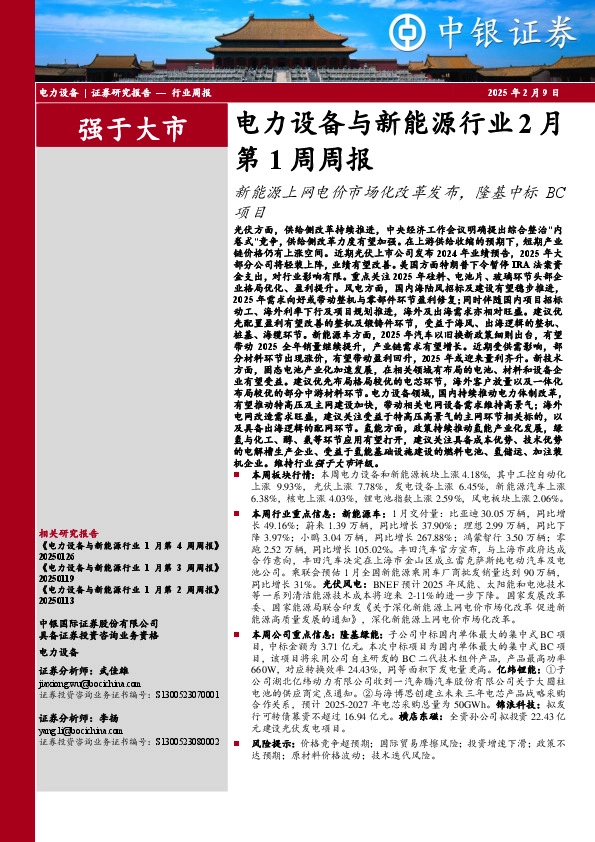 电力设备与新能源行业2月第1周周报：新能源上网电价市场化改革发布，隆基中标BC项目