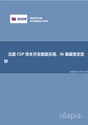 北美CSP资本开支展望乐观，AI基建需求坚
