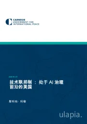 技术联邦制：处于AI治理前沿的美国