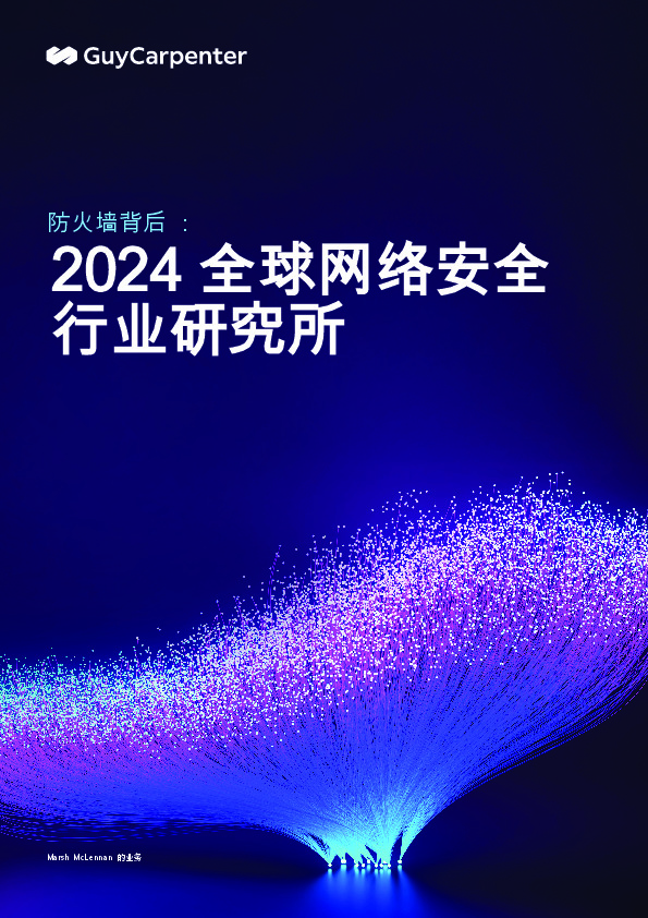 防火墙背后：2024全球网络安全行业研究所