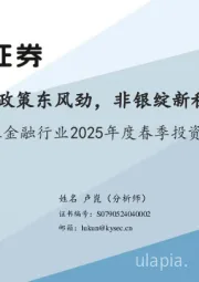 非银金融行业2025年度春季投资策略:政策东风劲,非银绽新程