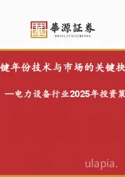 电力设备行业2025年投资策略:关键年份技术与市场的关键抉择