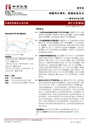 锂电池行业月报:销量同比增长,短期适度关注