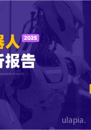 人形机器人行业简析报告
