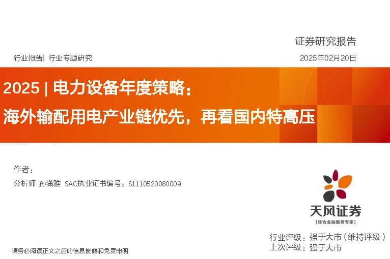 2025|电力设备年度策略：海外输配用电产业链优先，再看国内特高压