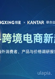 海外消费者、产品与价格调研报告：探寻跨境电商新趋势