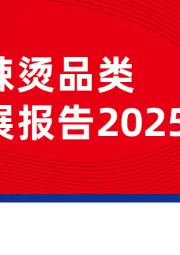 麻辣烫品类发展报告2025
