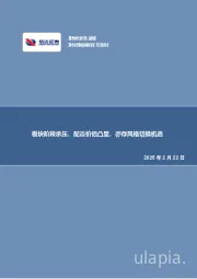 板块阶段承压,配置价值凸显,亦存风格切换机遇