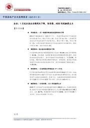 中国房地产企业监测报告（2025年1月）