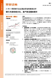 24年4季度银行业主要监管指标数据点评:银行内部持续分化,资产质量整体提升