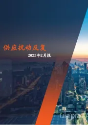 原油月报：地缘冲突降温，供应扰动反复