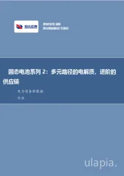 固态电池系列2：多元路径的电解质，进阶的供应链