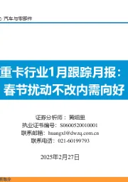 重卡行业1月跟踪月报：春节扰动不改内需向好