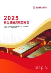 2025贵金属投资展望报告
