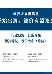 锂行业供需展望：锂资源产能开始出清，锂价有望逐步迎底部反转