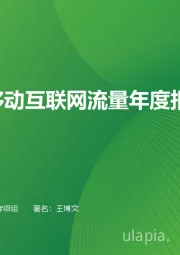 2024年中国移动互联网流量年度报告