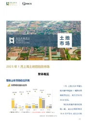 2025年1月上海土地招拍挂市场