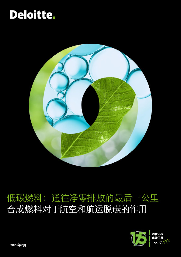 低碳燃料：通往净零排放的最后一公里 合成燃料对于航空和航运脱碳的作用