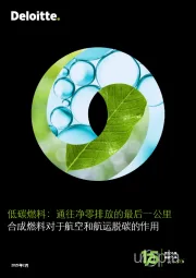 低碳燃料:通往净零排放的最后一公里 合成燃料对于航空和航运脱碳的作用