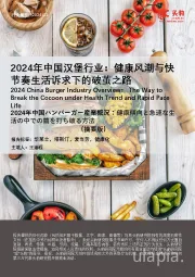 2024年中国汉堡行业：健康风潮与快捷诉求下的破茧之路（摘要版）