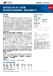 油气行业2025年2月月报：受供应扰动及关税政策施压，国际油价震荡下行