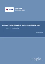公用事业行业周报:2025年政府工作报告推进双碳进程,中石油中石化合同气定价政策发布