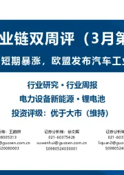 锂电产业链双周评(3月第1期):钴产品价格短期暴涨,欧盟发布汽车工业行动计划