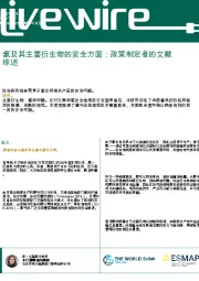 氢及其主要衍生物的安全方面:政策制定者的文献综述