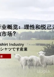 2024年中国羊毛T恤行业概览：理性和悦己消费如何重塑羊毛T恤市场？