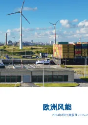 欧洲风能：2024年统计数据及2025-2030年展望