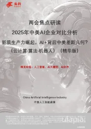两会焦点研读 2025年中美AI企业对比分析 新质生产力崛起，AI+背后中美差距几何？（云计算·算法·机器人）（精华版）