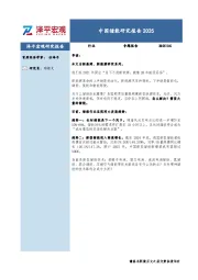中国储能研究报告2025