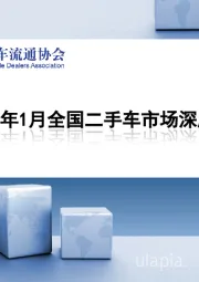 2025年1月全国二手车市场深度分析