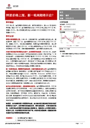 化工：钾肥价格上涨，新一轮周期将开启？