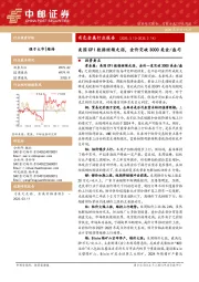 有色金属行业报告：美国CPI数据继续走弱，金价突破3000美金/盎司