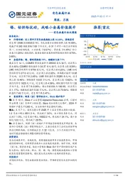 有色金属行业双周报：锡、钴供给扰动，战略小金属价值提升