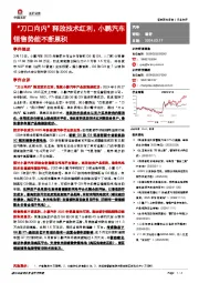 汽车：“刀口向内”释放技术红利，小鹏汽车销售势能不断累积