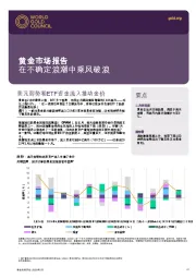 黄金市场报告：在不确定浪潮中乘风破浪