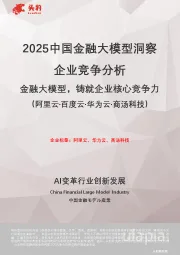 2025中国金融大模型洞察企业竞争分析:金融大模型,铸就企业核心竞争力(阿里云·百度云·华为云·商汤科技)