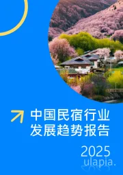 2025中国民宿行业发展趋势报告