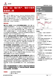 有色金属：刚果（金）锡矿停产，锡价中枢有望继续上移