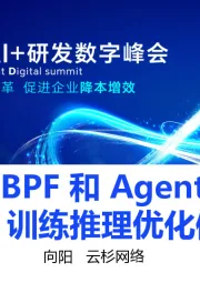 基于eBPF和Agent构建LLM训练推理优化体系