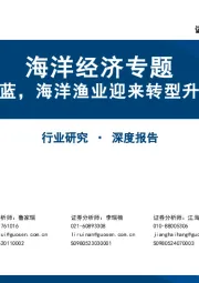 海洋经济专题:深耕蔚蓝,海洋渔业迎来转型升级机遇