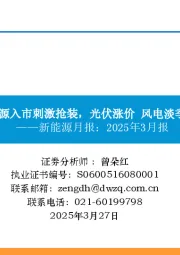 新能源月报：2025年3月报：新能源入市刺激抢装，光伏涨价 风电淡季不淡