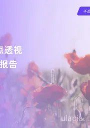 2025种草爆点透视内容营销洞察报告（小红书平台）