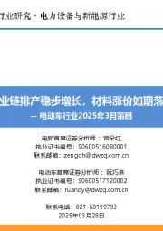 电动车行业2025年3月策略：产业链排产稳步增长，材料涨价如期落地