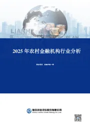 2025年农村金融机构行业分析